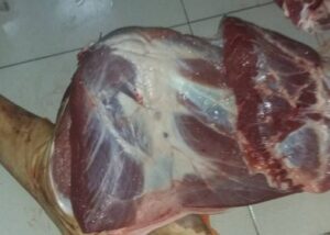 Đùi trước nguyên cái
