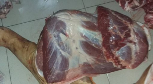 Đùi trước nguyên cái