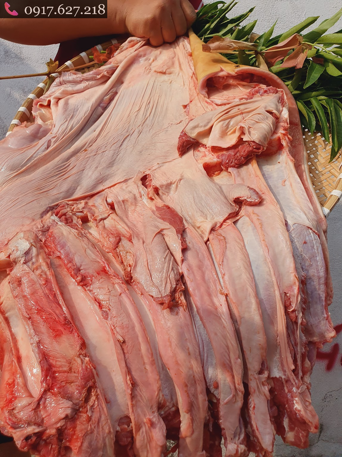 Ba rọi (ba chỉ) - rút xương