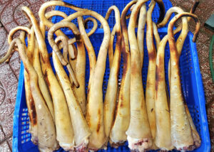 Đuôi thùng (đông lạnh mã 57)