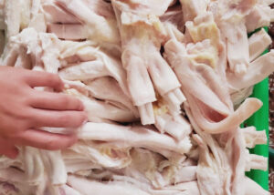 Gân Y chưa luộc (hàng đông lạnh mã 09)