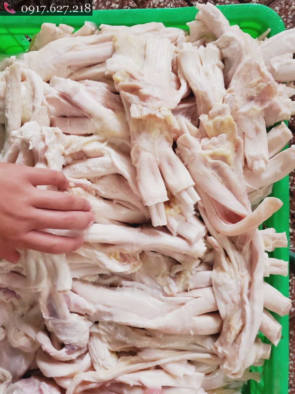 Gân Y chưa luộc (hàng đông lạnh mã 09)