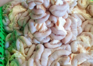 Phèo non (Phèo lỡ)