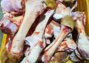 Xương ống bò tươi